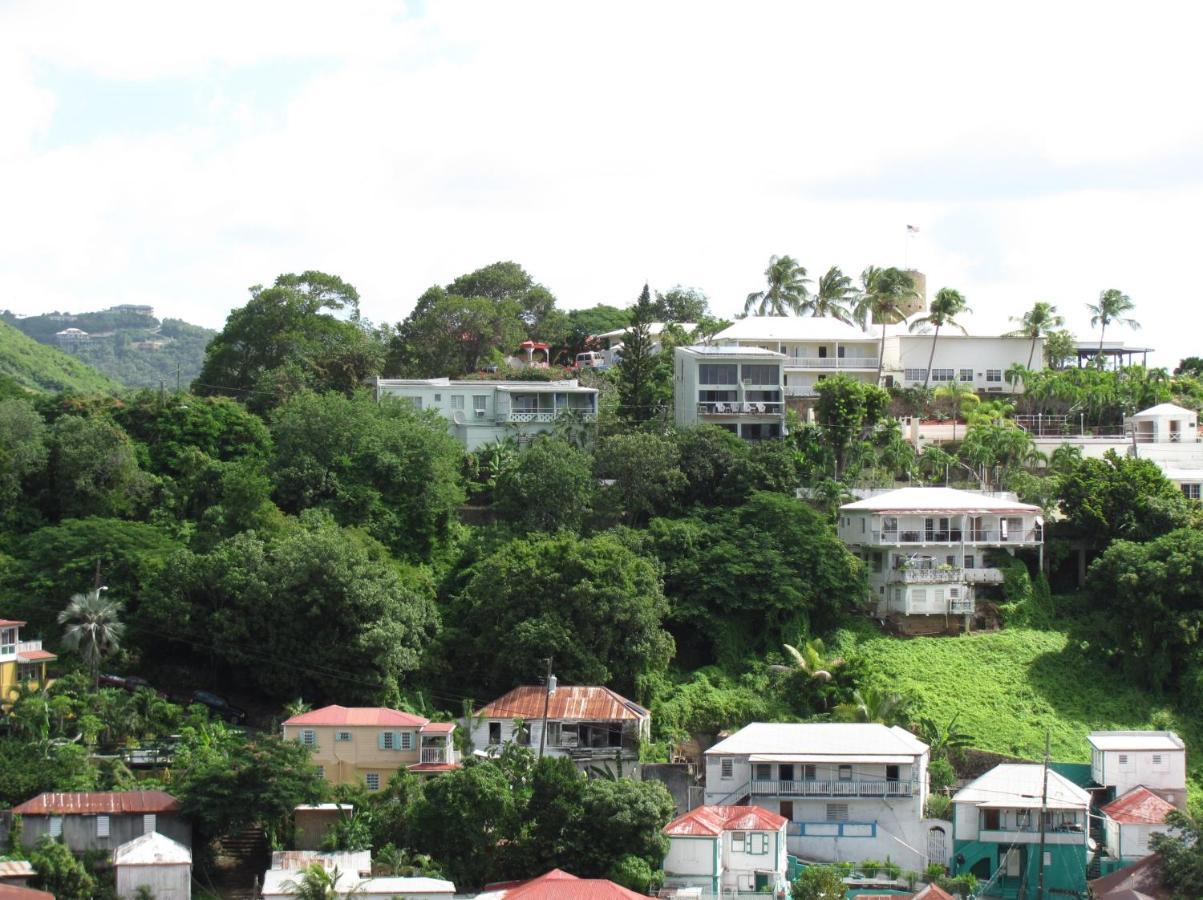 The Green Iguana Hotel Charlotte Amalie Eksteriør bilde