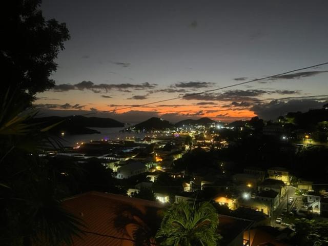 The Green Iguana Hotel Charlotte Amalie Eksteriør bilde